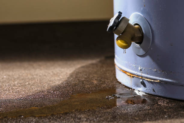 Best Flood restoration services  in Highland Heights, KY