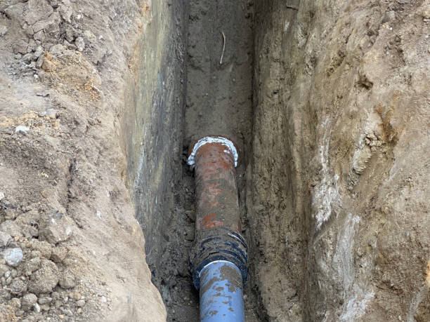 Best Local water damage restoration  in Highland Heights, KY