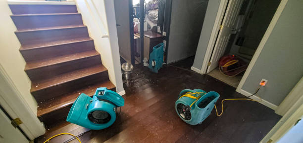 Best Basement water damage restoration  in Highland Heights, KY