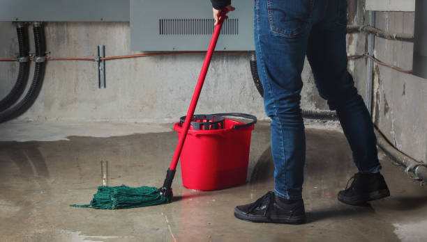 Best Sewage cleanup and water damage restoration  in Highland Heights, KY