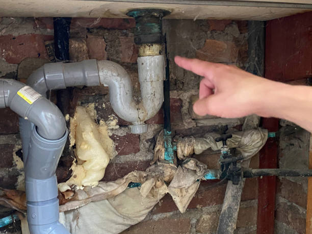 Best Professional water damage repair  in Highland Heights, KY