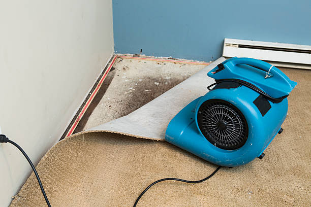 Best Ceiling water damage repair  in Highland Heights, KY